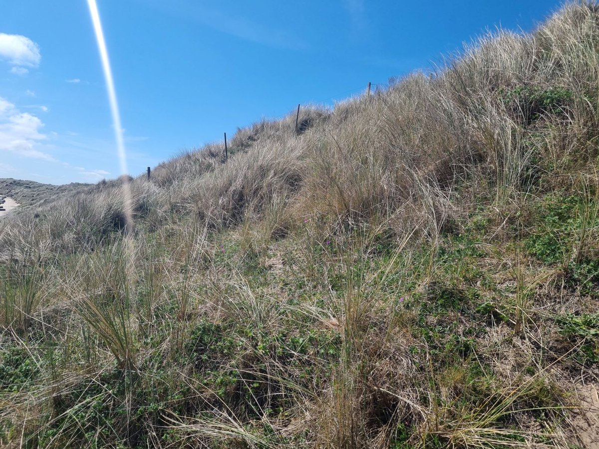 LIFE WADER tweet media