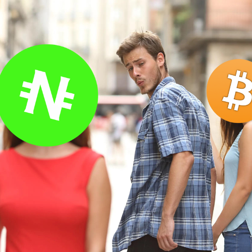 NetcoinX's tweet photo. Green is the new orange 

$NTC https://t.co/oyphO0GlPf