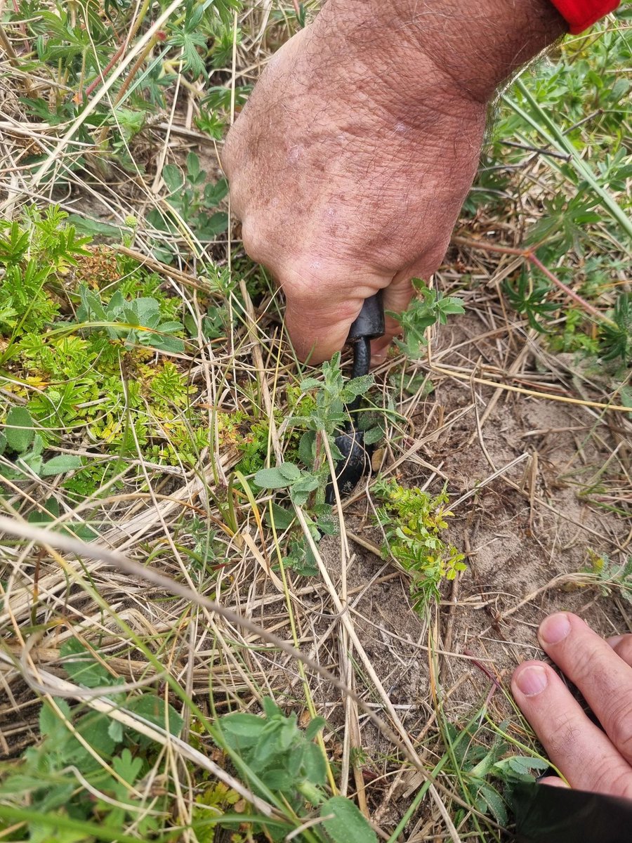 LIFE WADER tweet media