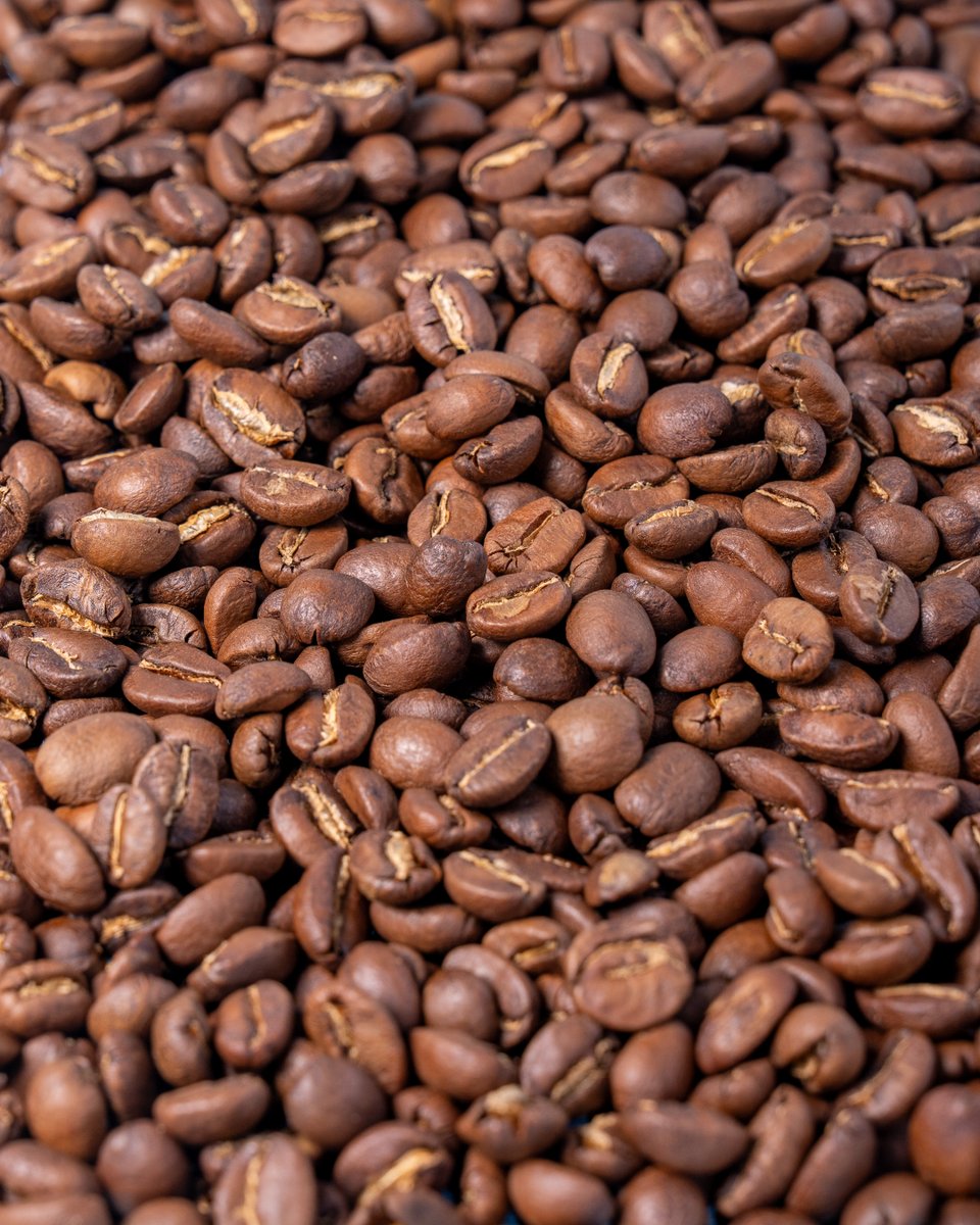 Pide tu café perrón, mándanos msj ✉️

#cafe #cafetostado #hermosillo #cafeterias #grano #mexicano #sonora #mexico #promociones #descuentos #calor #bebidas