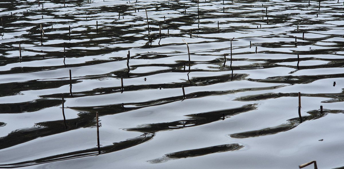 Vaarunvuorten luontopolku. #Korpilahti #kevät