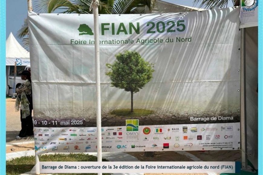 Malijetactu's tweet image. Foire Internationale Agricole du Nord (FIAN) : Le bassin du fleuve Sénégal se vend malijet.com/actualite_econ… #malijet #Foire #Internationale #Agricole #FIAN #bassin #fleuve #Sénégal