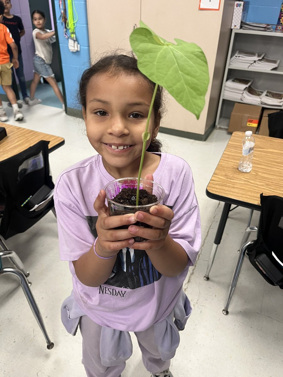 We are a BUSY school!! Quarter 3 Perfect Attendance Breakfast, Grade 1 DLI Science Lesson and Grade 5 NGSA !!!! Love our school community!!  <a href="/pvdschools/">Providence Public Schools</a> <a href="/ElementaryZone/">PPSD Elementary Zone</a> <a href="/RIDeptEd/">Rhode Island Department of Education (RIDE)</a>
