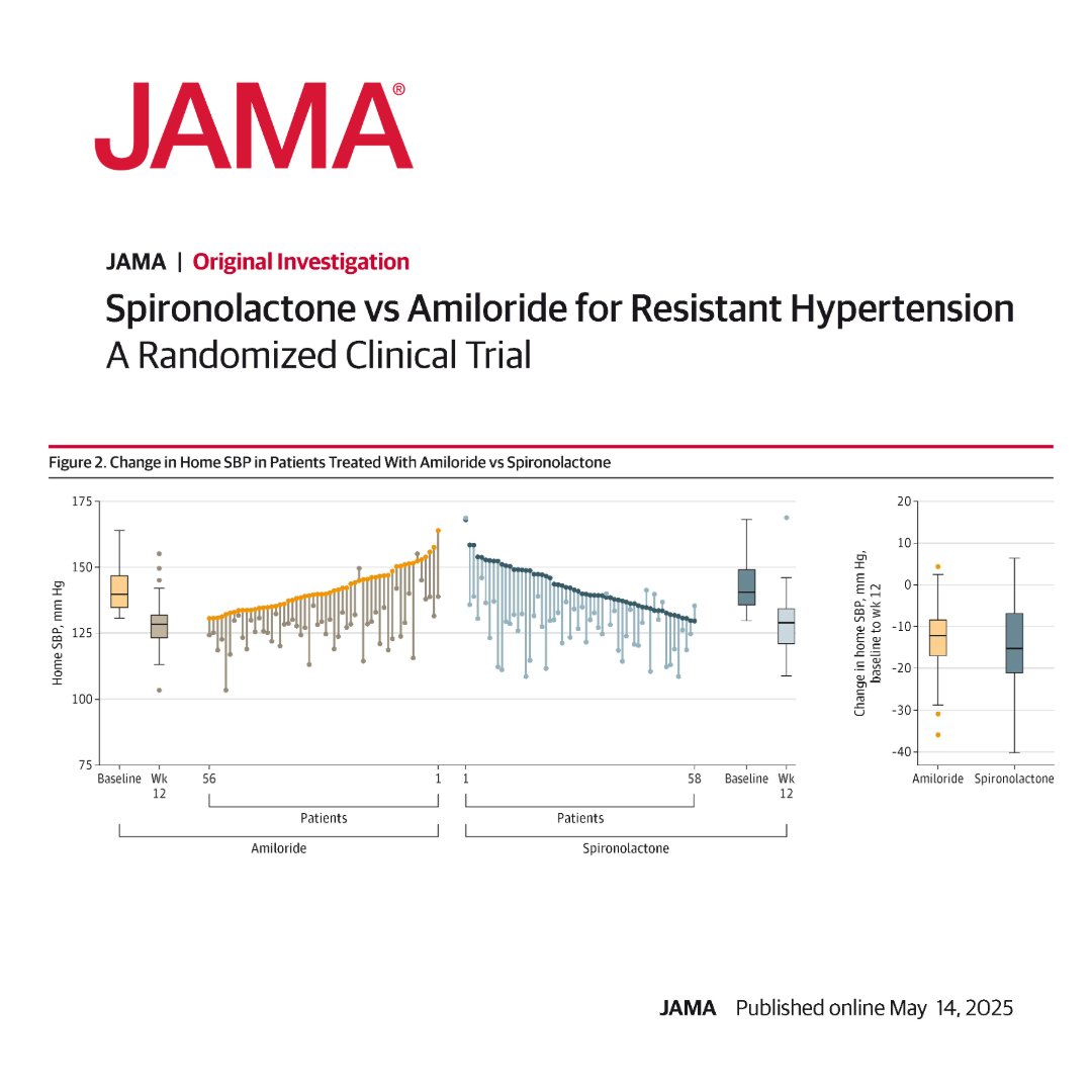 Amiloride was noninferior to spironolactone in lowering home systolic blood pressure at 12 weeks. 

ja.ma/3SDg1fW