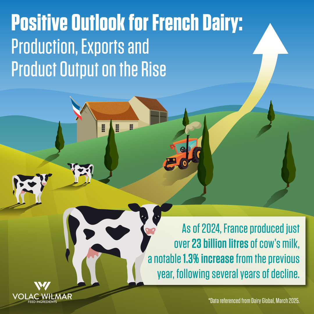 Much more than just excellent cheese! 🧀

France’s dairy sector is gaining ground, with milk production up 1.3% in 2024 to over 23bn litres. 📈

Cheese, butter and milk powder output are also on the rise, signalling renewed momentum in this iconic dairy market.

#DairyIndustry