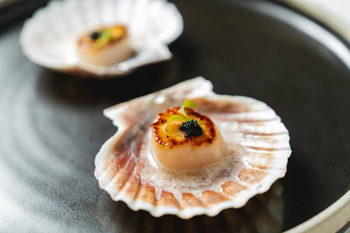 Seafood gives me the kind of high no champagne ever could. 🥂🦪