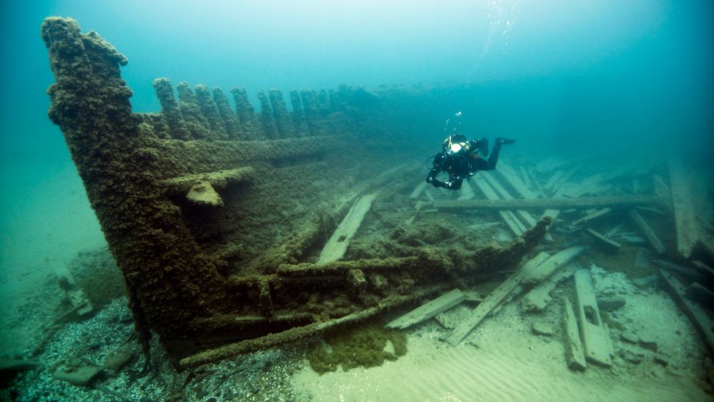 National Marine Sanctuary Foundation (@marinesanctuary) on Twitter photo It's a great year to turn 25! Happy 25th anniversary to <a href="/ThunderBayNMS/">Thunder Bay NMS</a>!
This marine sanctuary designation didn’t just preserve maritime history - it helped transform Alpena, MI into a thriving economic hub. Learn more from <a href="/sanctuaries/">Sanctuaries (NOAA)</a>: sanctuaries.noaa.gov/news/2025/tbnm… #WreckWednesday It's a great year to turn 25! Happy 25th anniversary to <a href="/ThunderBayNMS/">Thunder Bay NMS</a>!
This marine sanctuary designation didn’t just preserve maritime history - it helped transform Alpena, MI into a thriving economic hub. Learn more from <a href="/sanctuaries/">Sanctuaries (NOAA)</a>: sanctuaries.noaa.gov/news/2025/tbnm… #WreckWednesday