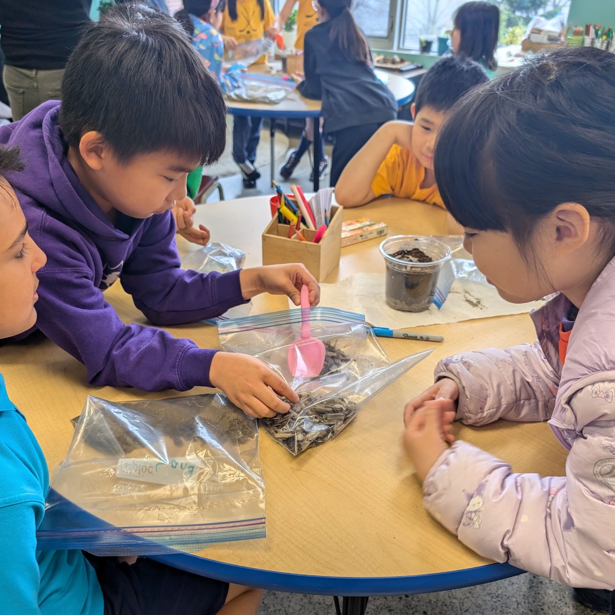 richlandacad's tweet image. Thanks to Fiona, a dedicated Richland parent, for leading a Grade 3 workshop on soil layers. Students created layers with rocks, pebbles, sand, topsoil, and mulch, observing water flow and learning about soil health and plant support. #SoilScience #HandsOnWorkshop #IBPYP #IB