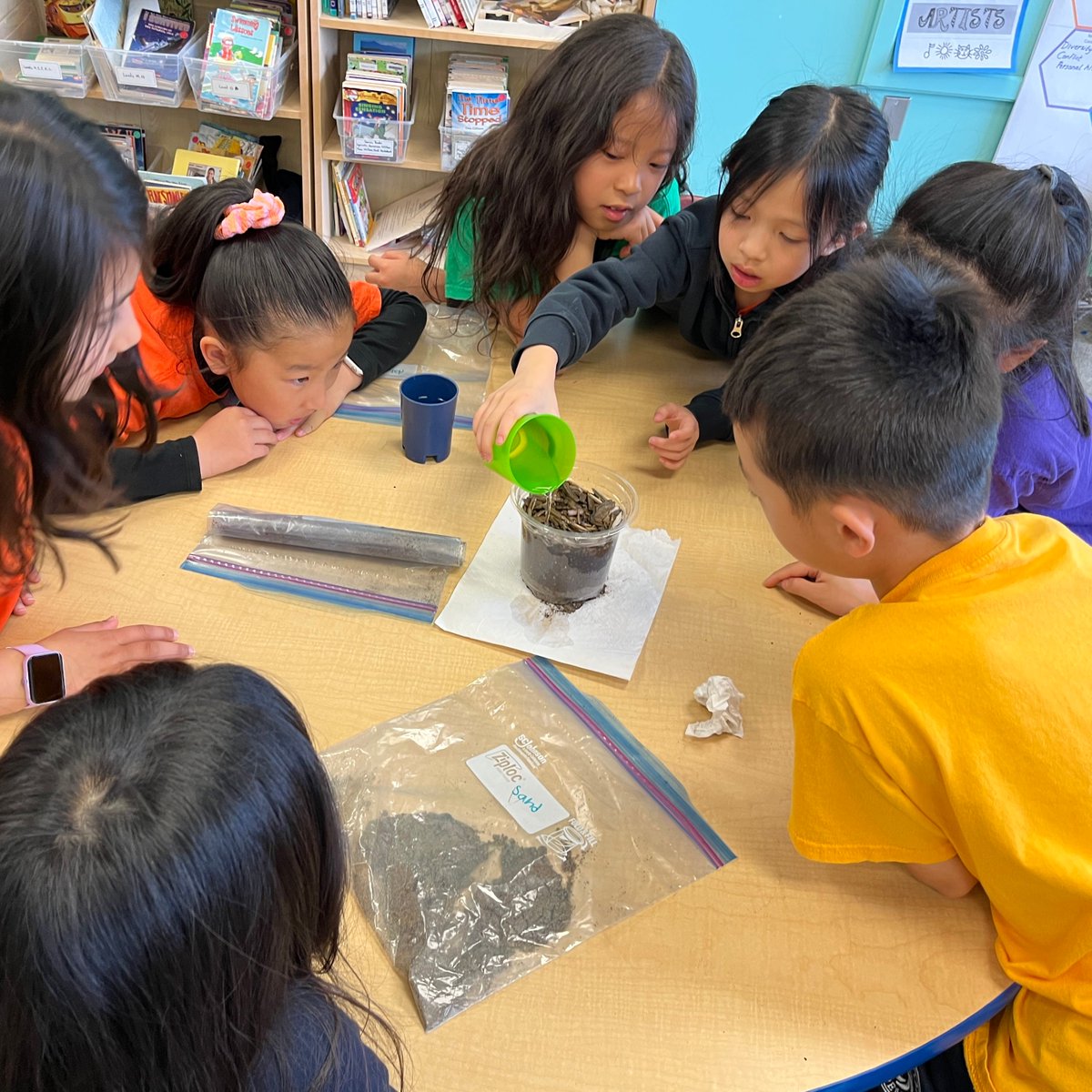 richlandacad's tweet image. Thanks to Fiona, a dedicated Richland parent, for leading a Grade 3 workshop on soil layers. Students created layers with rocks, pebbles, sand, topsoil, and mulch, observing water flow and learning about soil health and plant support. #SoilScience #HandsOnWorkshop #IBPYP #IB