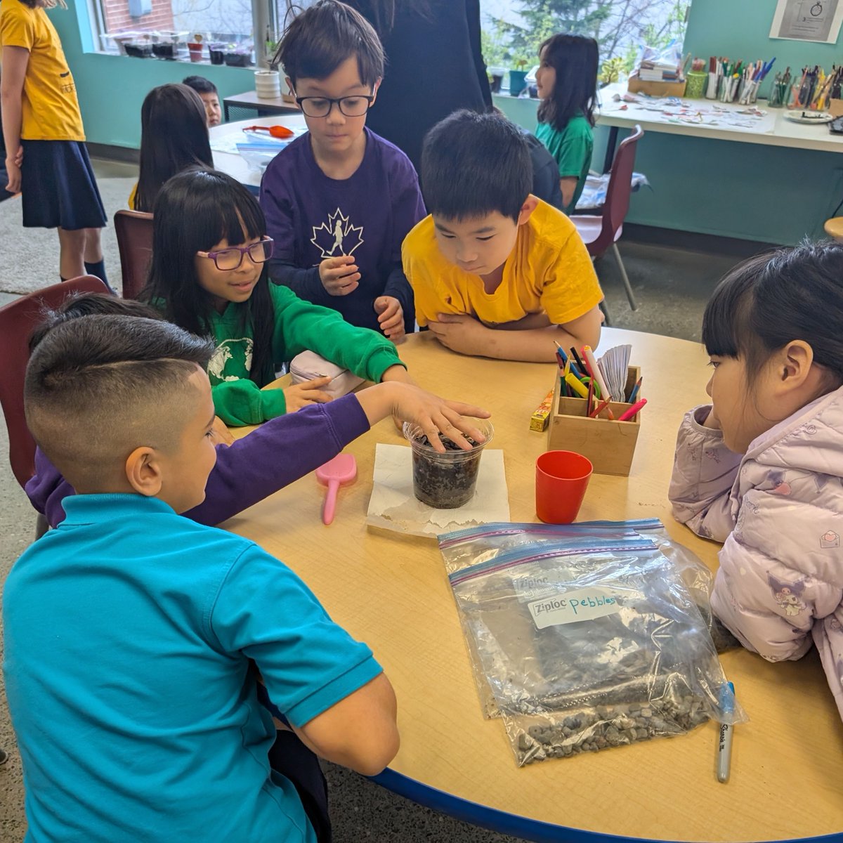 richlandacad's tweet image. Thanks to Fiona, a dedicated Richland parent, for leading a Grade 3 workshop on soil layers. Students created layers with rocks, pebbles, sand, topsoil, and mulch, observing water flow and learning about soil health and plant support. #SoilScience #HandsOnWorkshop #IBPYP #IB
