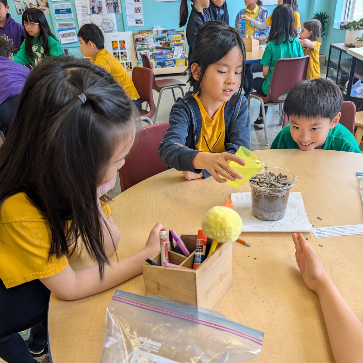 richlandacad's tweet image. Thanks to Fiona, a dedicated Richland parent, for leading a Grade 3 workshop on soil layers. Students created layers with rocks, pebbles, sand, topsoil, and mulch, observing water flow and learning about soil health and plant support. #SoilScience #HandsOnWorkshop #IBPYP #IB