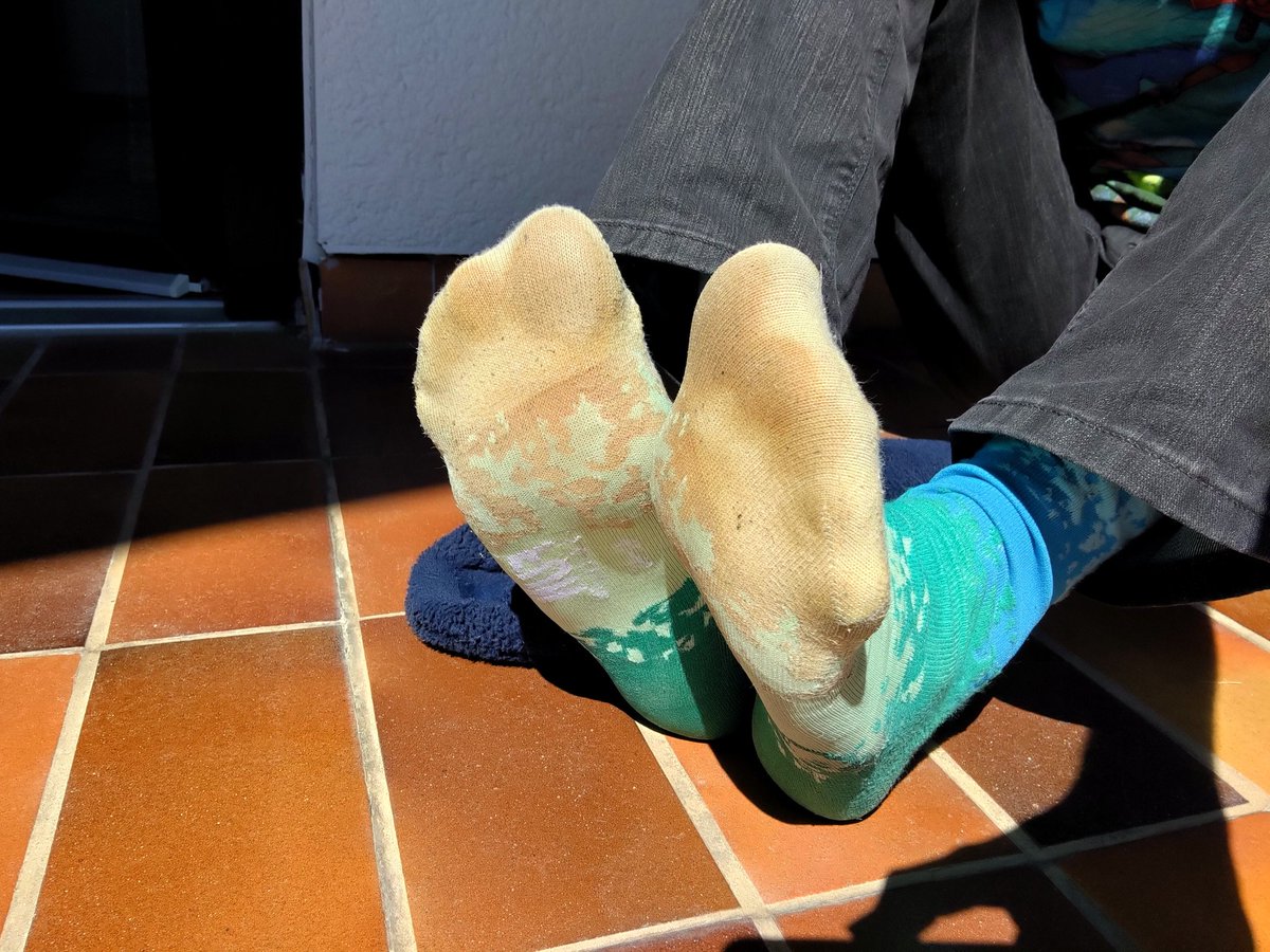 pawsfromdisco's tweet photo. The weather is too nice to not post sunny (stinky) socks :3 https://t.co/Z8ZYFhUU9R