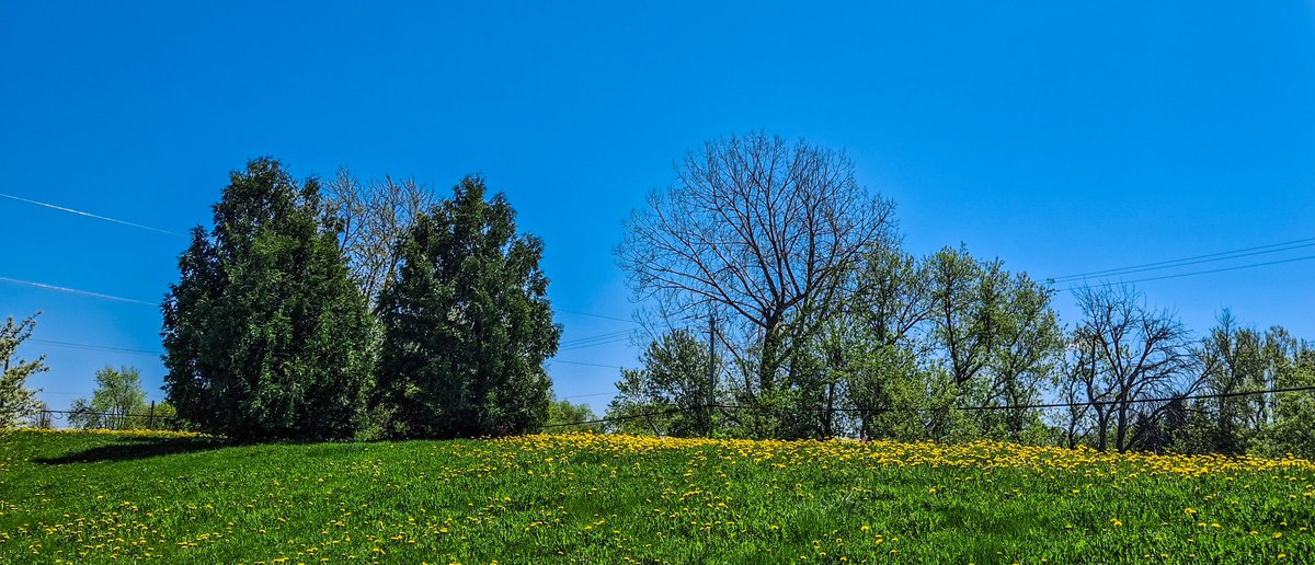 alexiogrenier's tweet image. Summer view . 😁 #SummerView #Nice #Wow #Photography #Nature #Home #Nice #SunnyDay #Sunlight