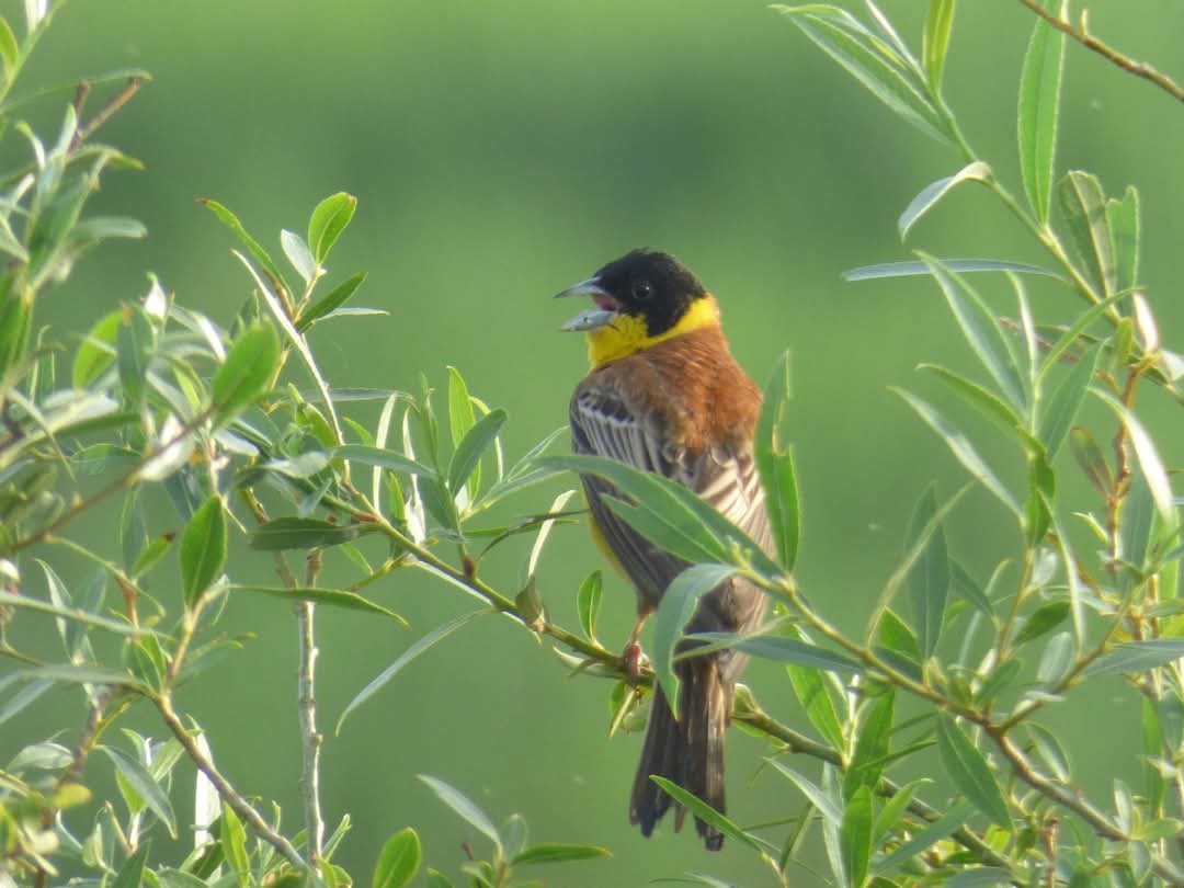 keith tinworth tweet media