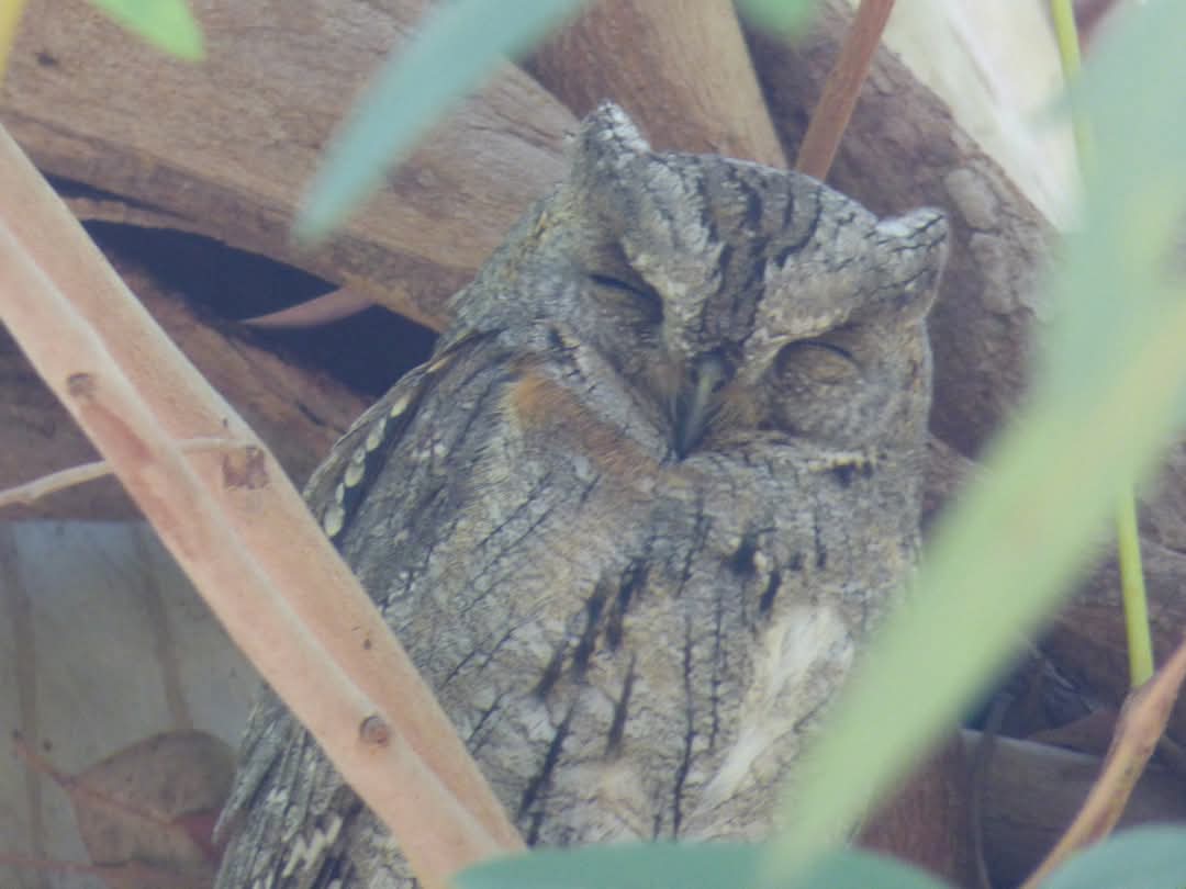 keith tinworth tweet media