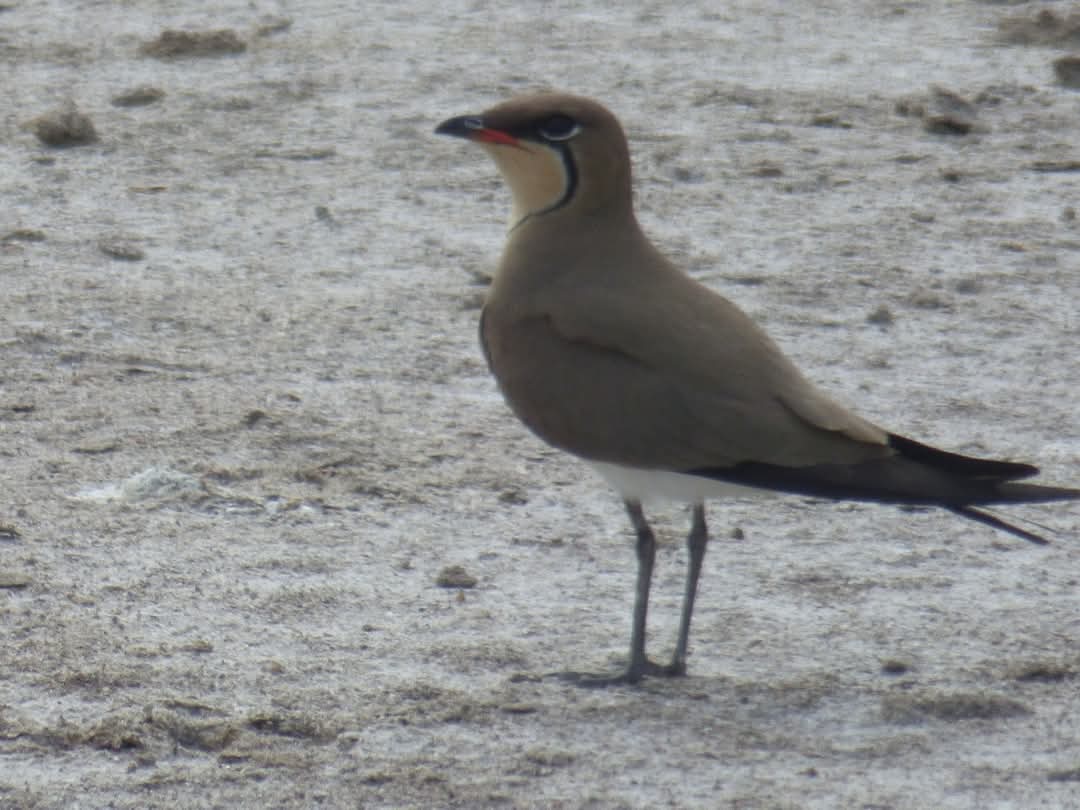 keith tinworth tweet media