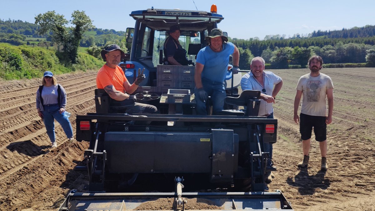 EithneBrowne's tweet image. Our @Root2Res 2025 potato trials are planted bythe @teagasc Potato Breeding Team and ourselves @Soilmicrobio. Huge thanks to all involved for their efforts. Looking forward to phenotyping these 440 genotypes above and below ground 🌿🥔