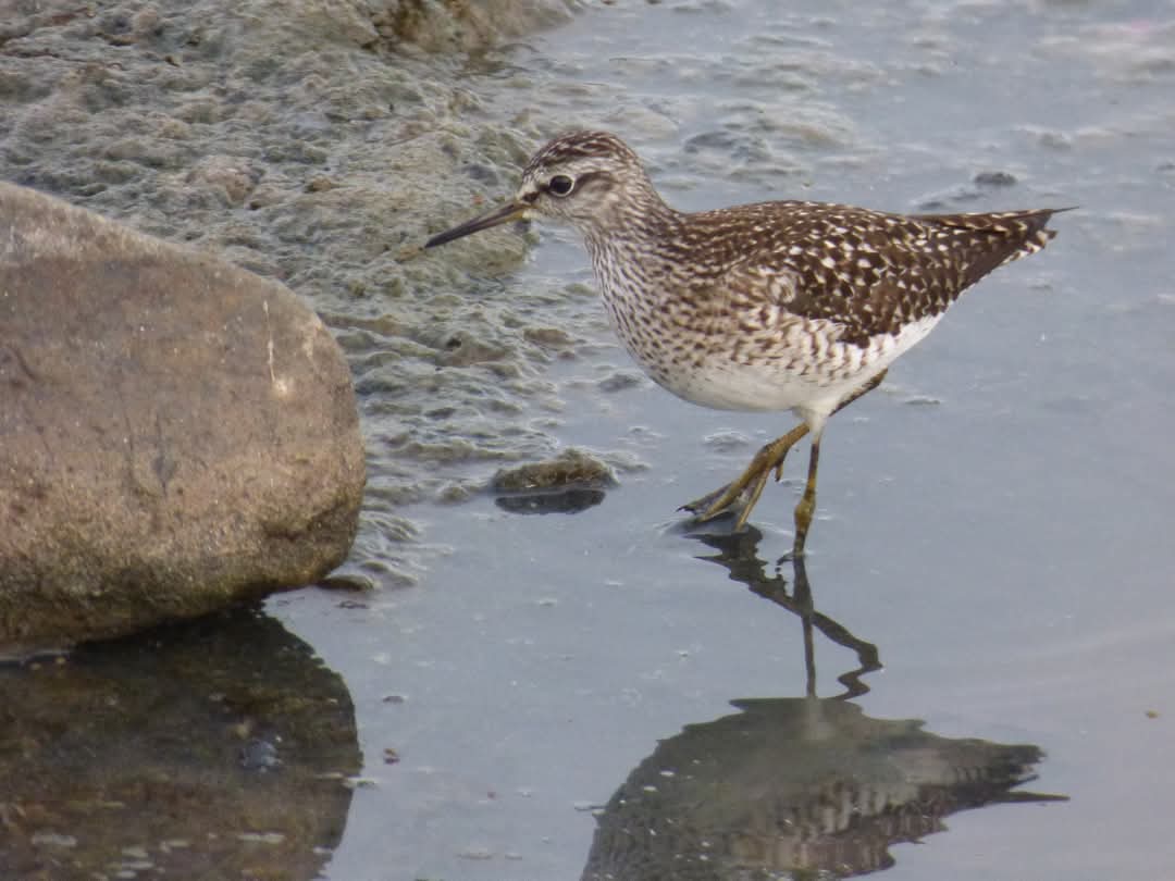 keith tinworth tweet media