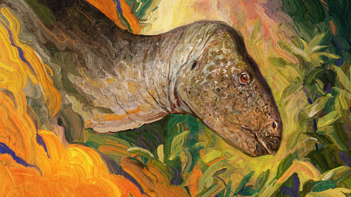 AttwellLucas's tweet image. Zalmoxes robustus.
#paleoart #dinosaur #art #digitalart