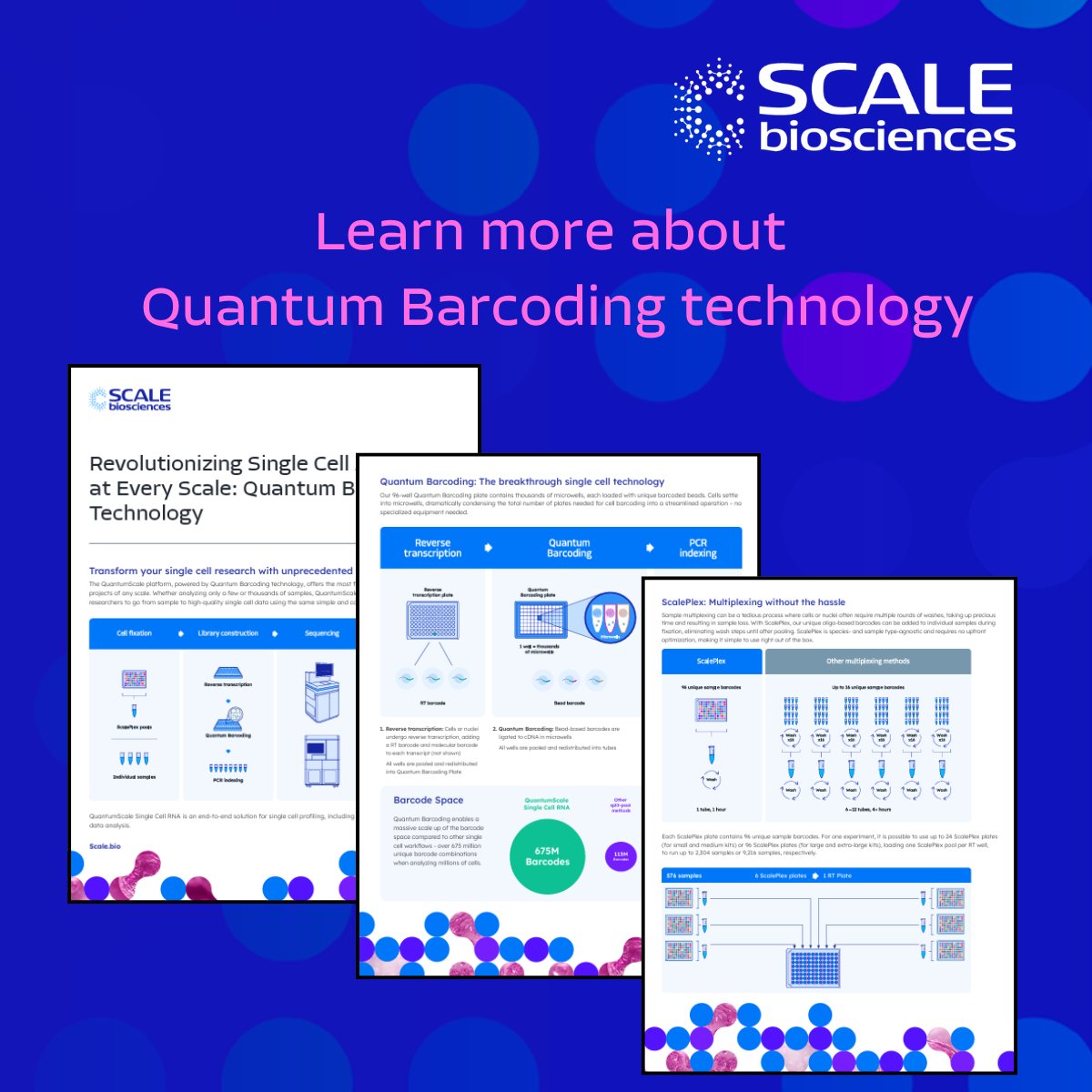 🧫 Intrigued by advances in single cell?
Learn how Quantum Barcoding technology works:

-Dramatic reduction of plates for barcoding
-Over 675 million unique barcode combinations
-Simplified fixation-to-sequencing workflow

hubs.la/Q03mxyqZ0
#SingleCellScience #Genomics