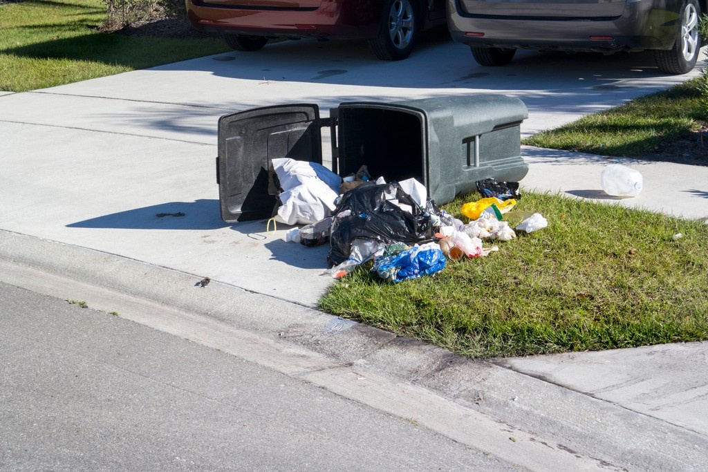 Curbside Tip: Keep it Clean!

🕖 Set garbage out by 7am
🚫 Don’t overfill or use bungees to keep lids shut
✔️ Use tags for overflow (max 5 bags)

More tips: www.simcoe,ca/garbage