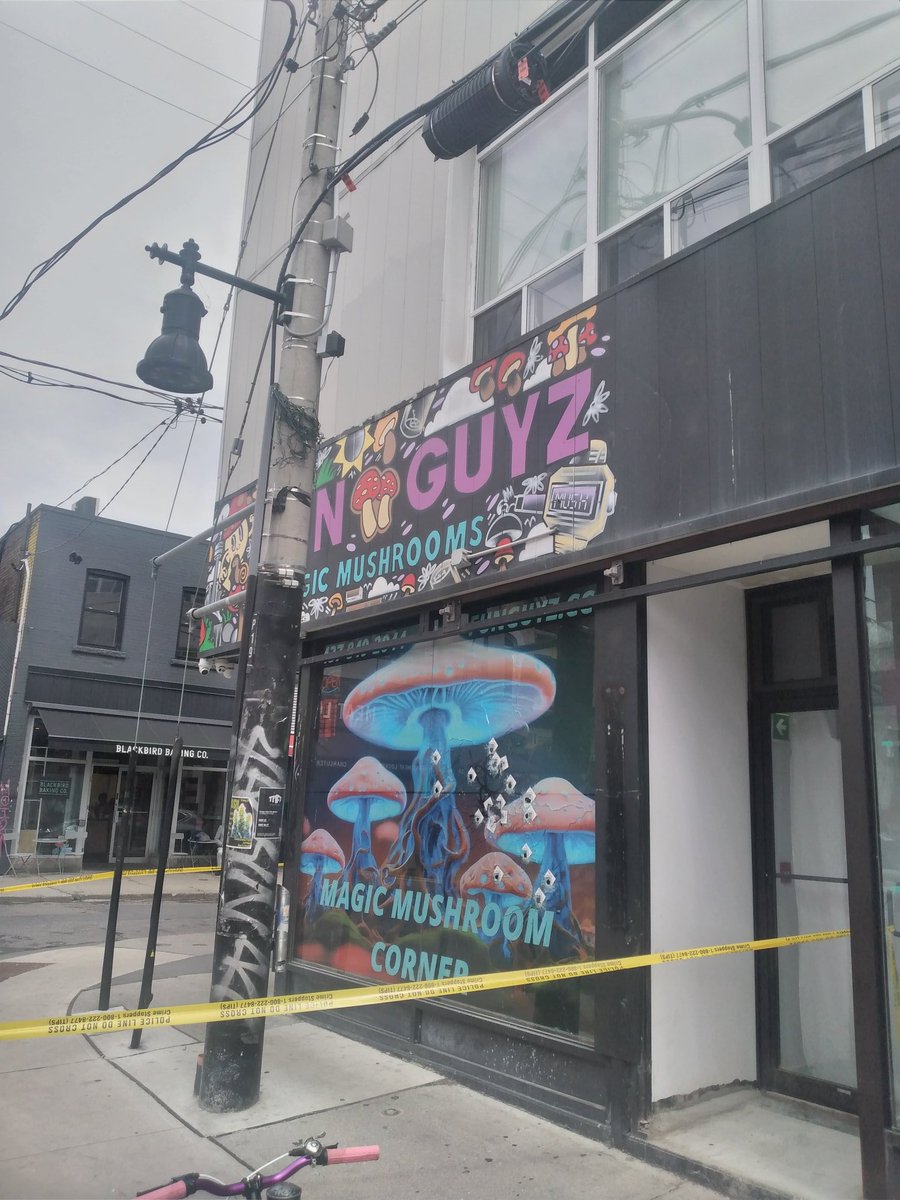 festivalscanada's tweet photo. Bullets fired into the mushroom store in #KensingtonMarket. https://t.co/oUv047OzLb