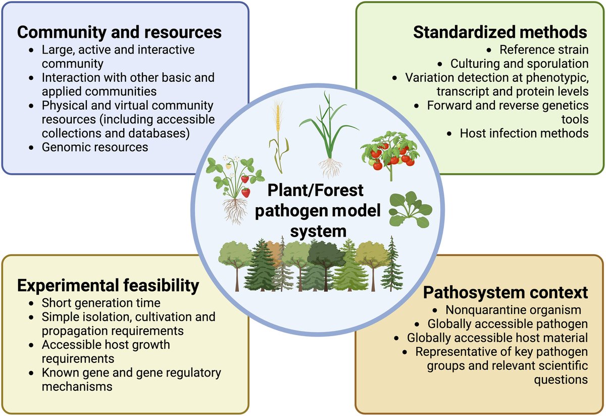 New Phytologist (@newphyt) on Twitter photo Forest pathology molecular model system
Oostlander et al. <a href="/a_oostlander/">A. Oostlander</a> <a href="/bernardslippers/">Bernard Slippers</a> @fabiteam1
📖 nph.onlinelibrary.wiley.com/doi/10.1111/np… Forest pathology molecular model system
Oostlander et al. <a href="/a_oostlander/">A. Oostlander</a> <a href="/bernardslippers/">Bernard Slippers</a> @fabiteam1
📖 nph.onlinelibrary.wiley.com/doi/10.1111/np…