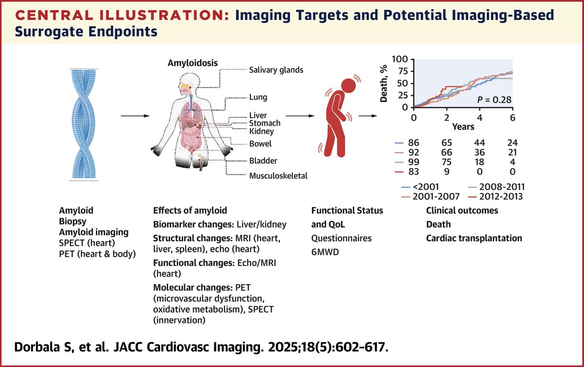 JACC Journals (@jaccjournals) on Twitter photo Establishing repeatability, reproducibility, & accuracy of imaging metrics is paramount for use in pivotal multicenter #amyloidosis trials. jacc.org/doi/10.1016/j.…
#JACCIMG #cvImaging #CardioTwitter #CardioOnc <a href="/DorbalaSharmila/">Sharmila Dorbala</a> <a href="/KMAlexanderMD/">Kevin Alexander</a> <a href="/MicheleEmdin/">Michele Emdin</a> Establishing repeatability, reproducibility, & accuracy of imaging metrics is paramount for use in pivotal multicenter #amyloidosis trials. jacc.org/doi/10.1016/j.…
#JACCIMG #cvImaging #CardioTwitter #CardioOnc <a href="/DorbalaSharmila/">Sharmila Dorbala</a> <a href="/KMAlexanderMD/">Kevin Alexander</a> <a href="/MicheleEmdin/">Michele Emdin</a>