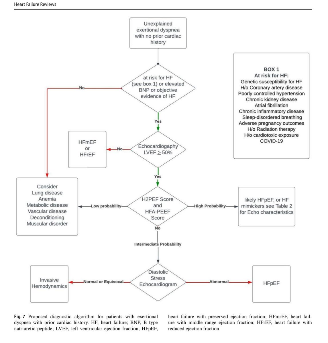 🔴 The role of echocardiography in the diagnosis of HFpEF #Cardiology #CardioEd #Echofirst
