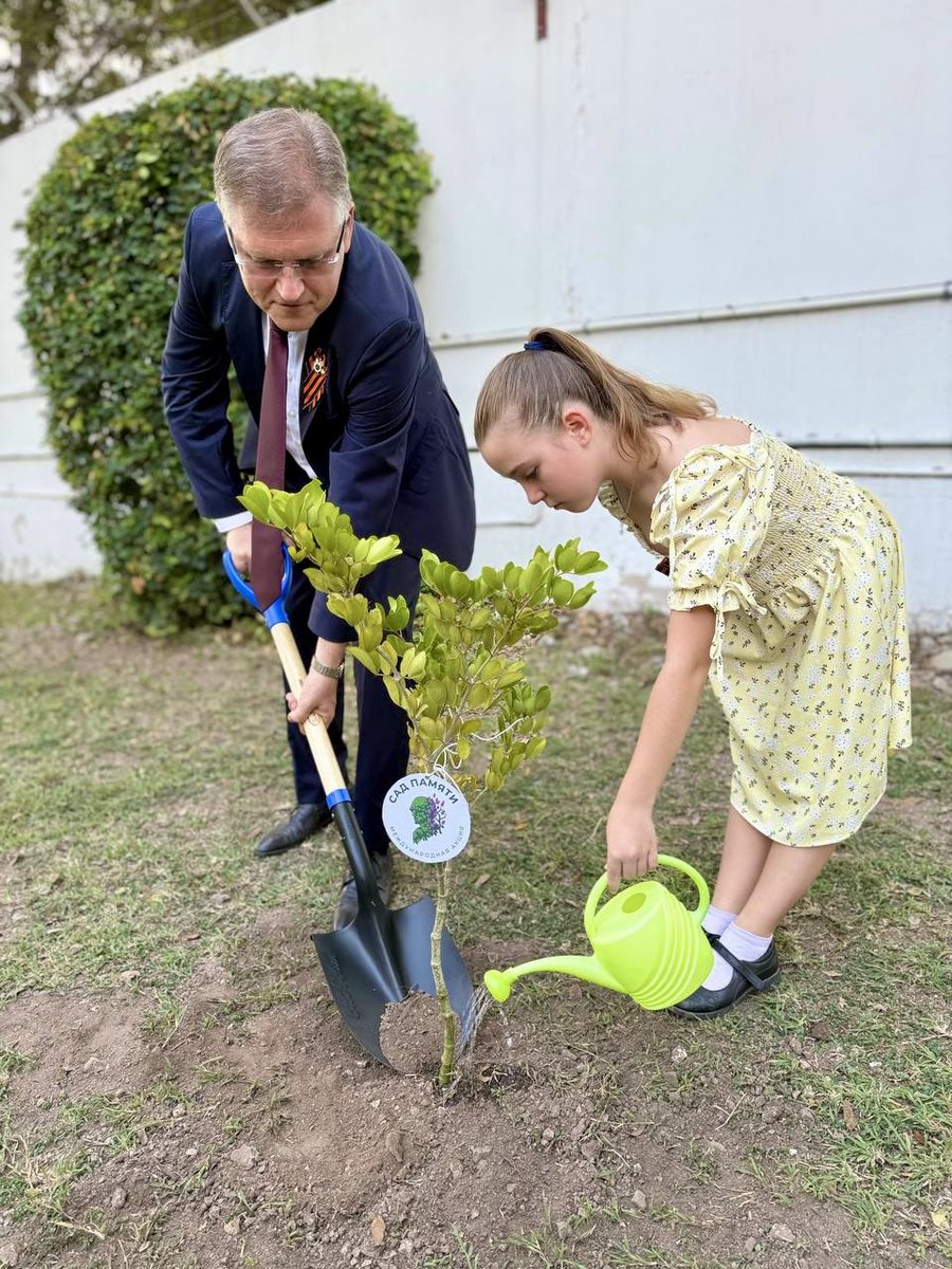 RussiaJamaica's tweet image. 🇷🇺 As part of the Embassy's activities in commemoration of the 80th anniversary of the Victory, the employees of the diplomatic mission and their family members joined the participation in the global initiative "Garden of Remembrance".
🏵 The national flower (tree) of Jamaica…