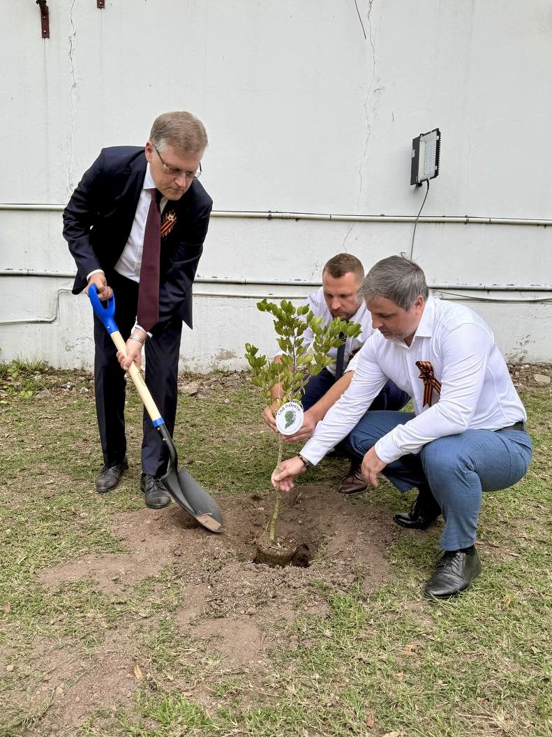 RussiaJamaica's tweet image. 🇷🇺 As part of the Embassy's activities in commemoration of the 80th anniversary of the Victory, the employees of the diplomatic mission and their family members joined the participation in the global initiative "Garden of Remembrance".
🏵 The national flower (tree) of Jamaica…