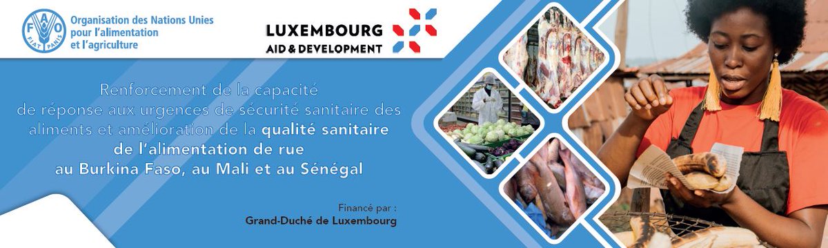 Avec le soutien financier du Grand Duché du #Luxembourg 🇱🇺, les participants ont pu échangé, validé le plan de travail, partagé les résultats atteints &amp; formulé des recommandations pour améliorer durablement la qualité sanitaire de l’alimentation de rue &amp; répondre aux #urgences.