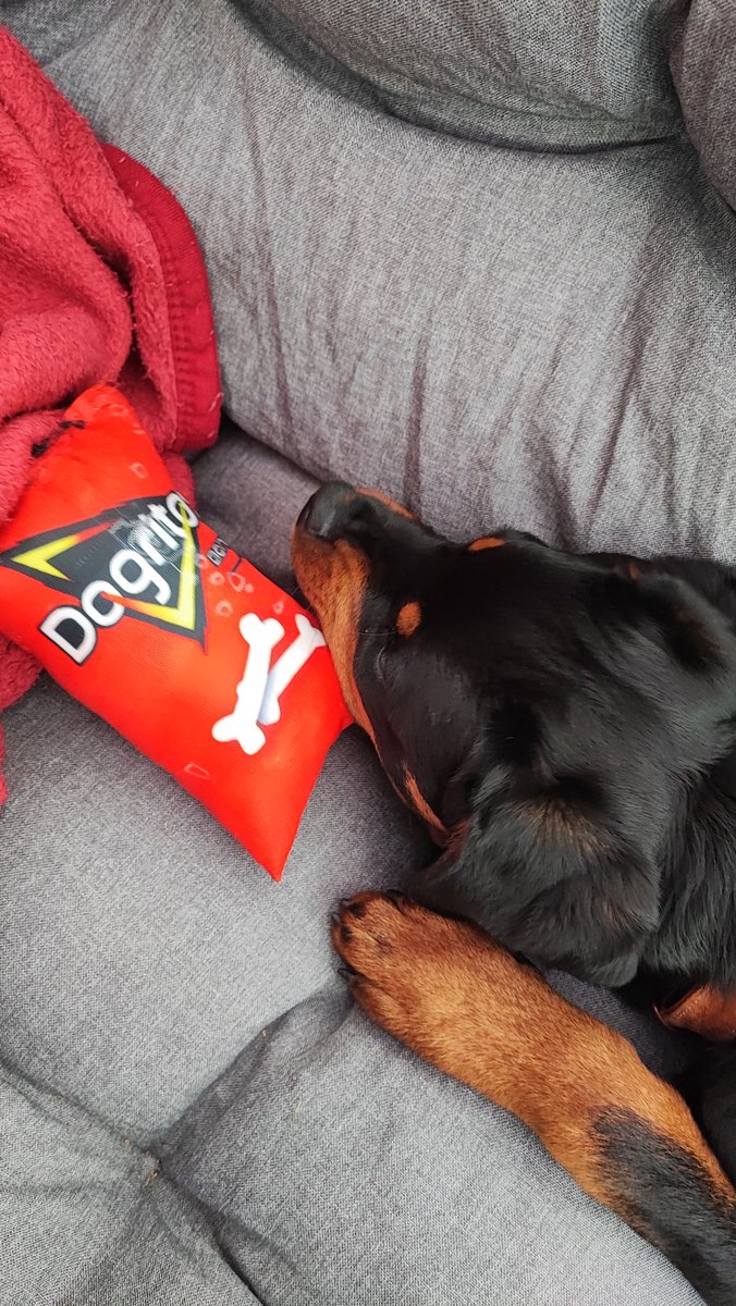 DaisyMirollin tweet media