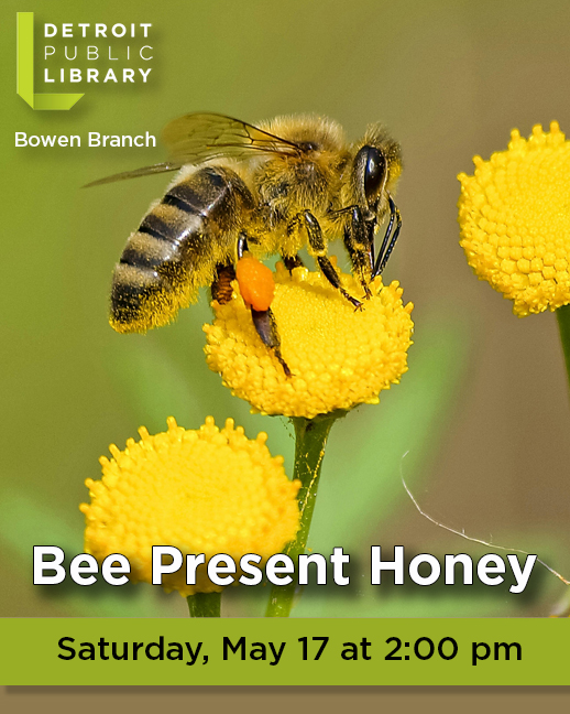Bee Present Honey at the #detroitpubliclibrary Bowen Branch (3648 Vernor) this Saturday, May 17 at 2 pm! Learn about honeybees and beekeeping, and taste some honey.
#bee #beekeeping #honeymoon
RSVP: eventbrite.com/e/bee-present-…