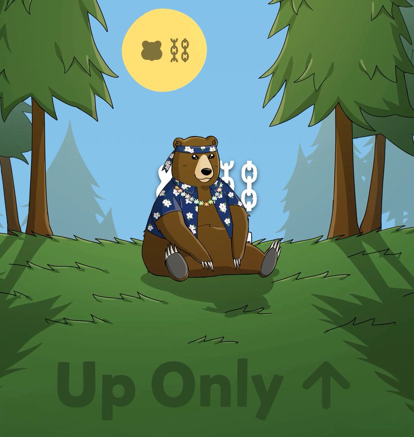 BGTscan 🐻⛓ tweet media