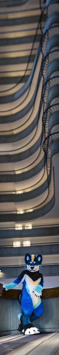 Finished my very minimal amount of photos at FWA! Go check em out here: rixhusky.com/furry-weekend-…

Suiters: <a href="/FurKingHeck/">King</a> &amp; <a href="/lytelyonheart/">✨ Lyte ✨</a>