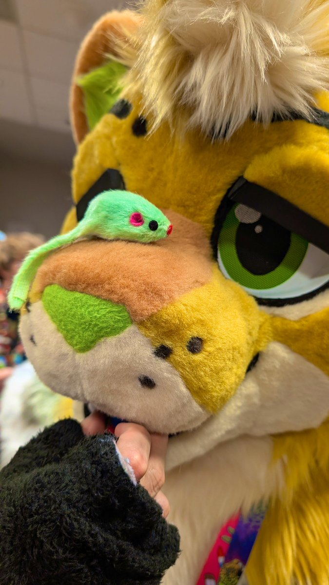 More photos from #FWA2025