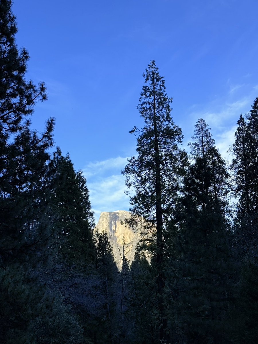 tparsakorn's tweet image. Spring Yosemite 🏔️