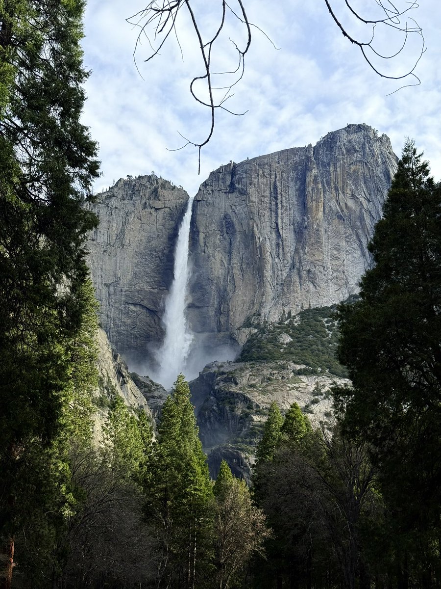 tparsakorn's tweet image. Spring Yosemite 🏔️