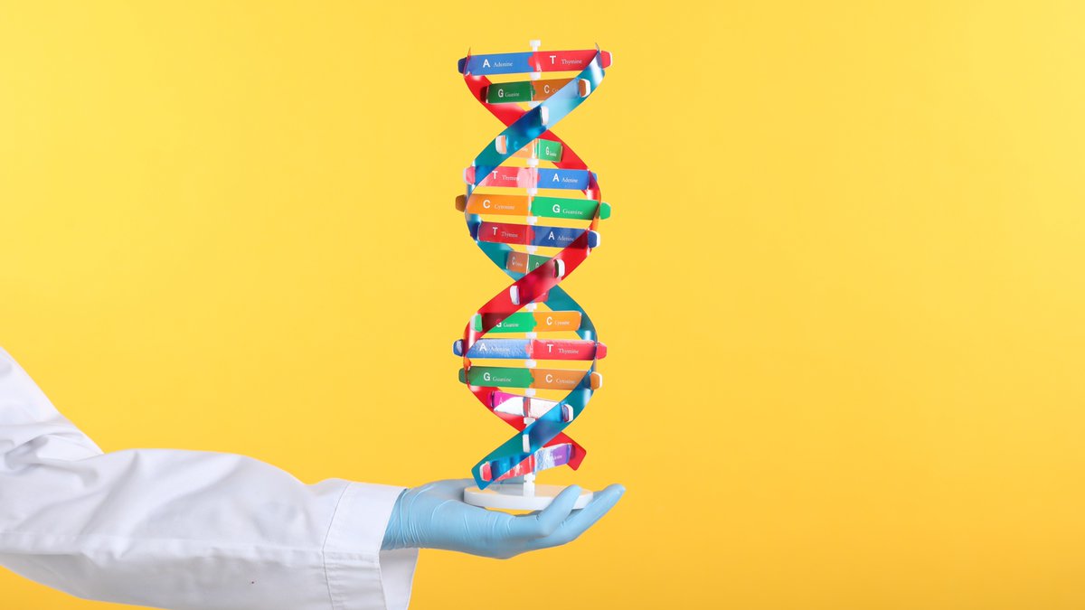 CU Department of Biomedical Informatics (DBMI) (@cubiomedinfo) on Twitter photo DYK that tiny changes in your DNA can influence traits like height and disease risk? Explore how scientists at the <a href="/CUMedicalSchool/">CU School of Medicine</a> are using AI and genomics to uncover hidden connections between genes and health ➡️ bit.ly/4kieMyH DYK that tiny changes in your DNA can influence traits like height and disease risk? Explore how scientists at the <a href="/CUMedicalSchool/">CU School of Medicine</a> are using AI and genomics to uncover hidden connections between genes and health ➡️ bit.ly/4kieMyH