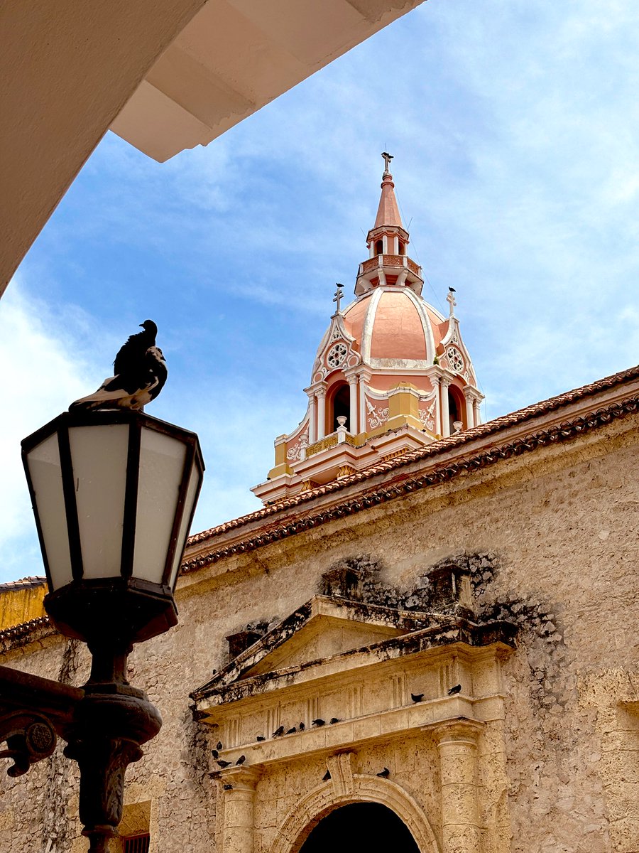 edluisgar's tweet image. Majestuosa.