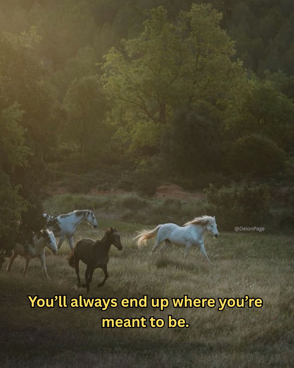 Deion 𓋹 (@calmdeion) on Twitter photo 