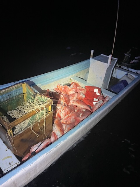 USCGHeartland's tweet image. The @USCG interdicted and detained 4 Mexican fishermen engaged in illegal fishing and seized approximately 450lbs of red snapper in federal waters off southern Texas, Tuesday.
More here: bit.ly/43kSndi