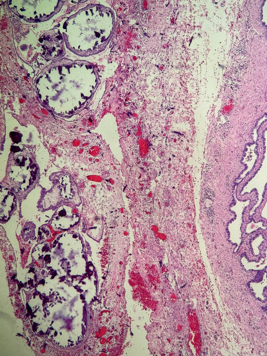 Sebastian Cruz Barbosa tweet media