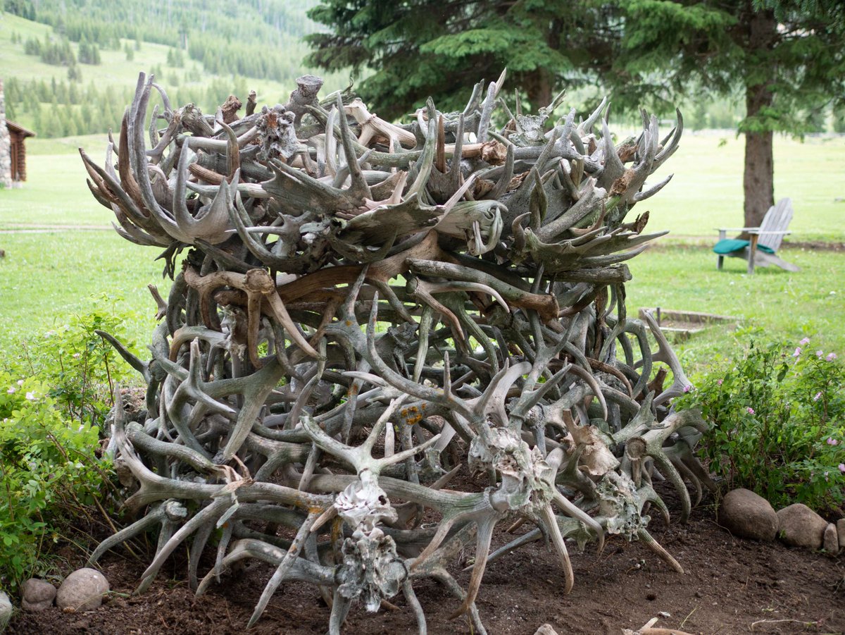 kevin2kelly's tweet image. LOOK Design Inspiration
#LOOKdesign #designinspiration #kevinkelly