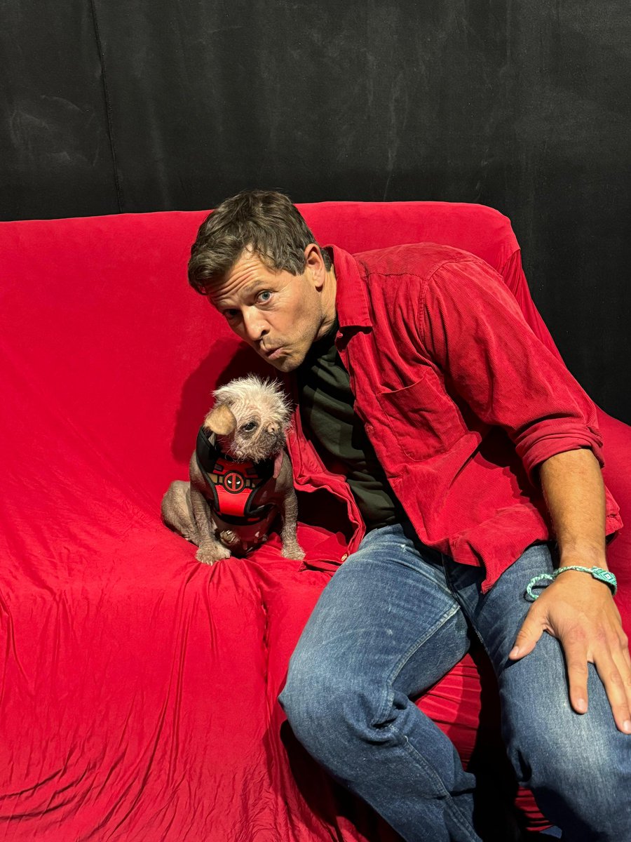 The crossover you didn’t know you needed ❤️

Peggy and Misha Collins make the most adorable team up and you can meet either one of them at Comic Con Wales this August 🏴󠁧󠁢󠁷󠁬󠁳󠁿 

Tickets: comicconventionwales.co.uk