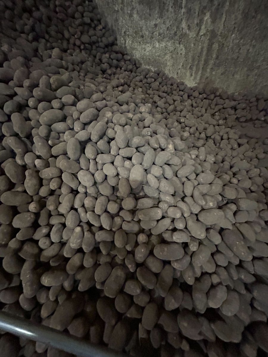 Did you know after they're harvested from fields, potatoes are kept in large dark and cold rooms like this one so they stay as fresh as possible before heading out to distribution. This week, we moved 10 loads of potatoes... thats around 400,000lbs of spuds.