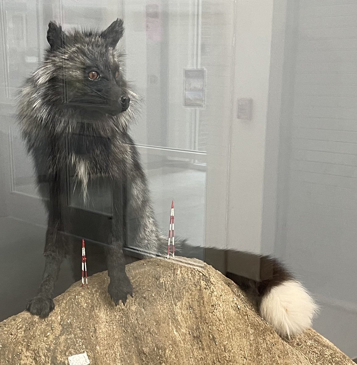 Aaron Foster 👎🏾👎🏾 tweet media