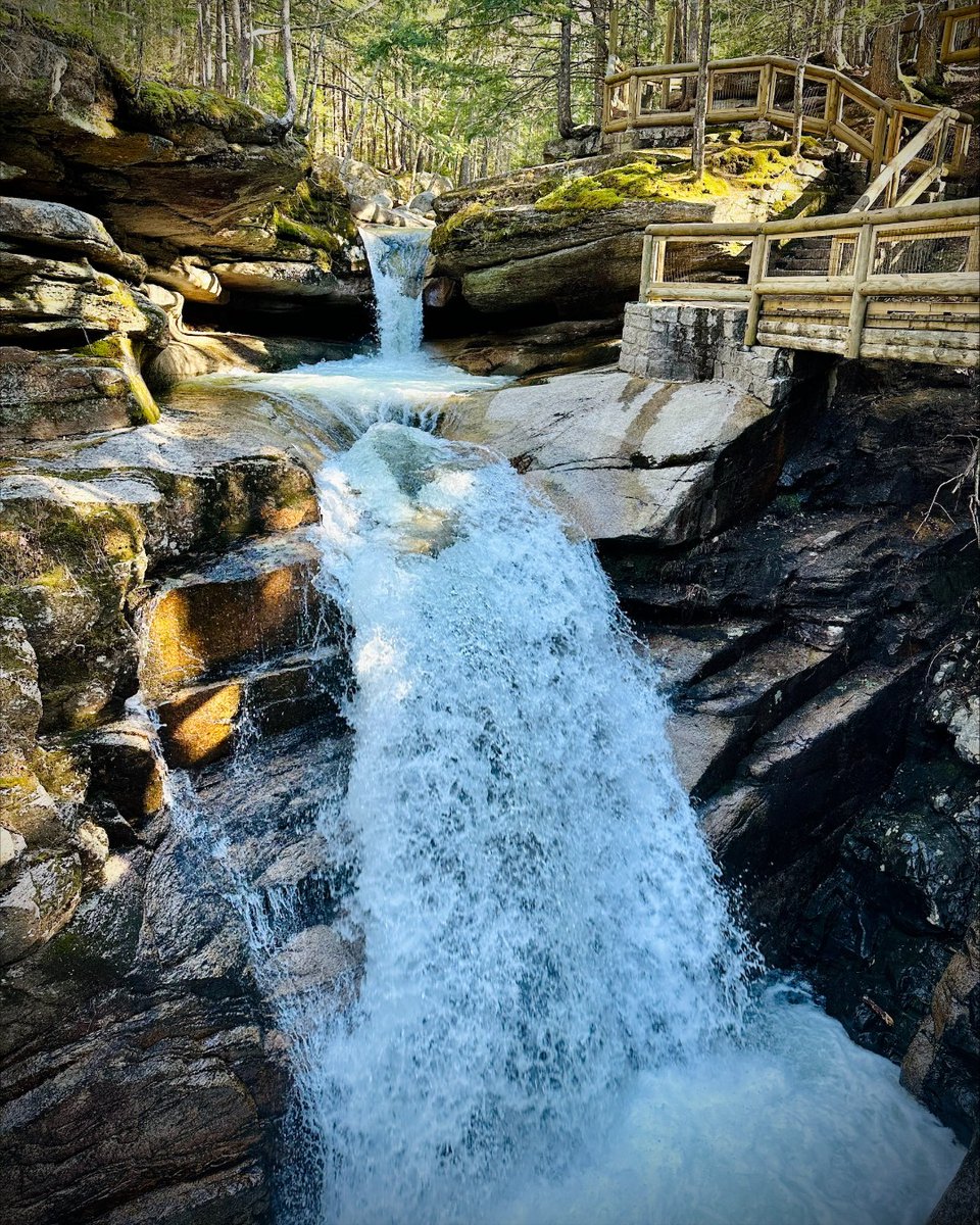 Hip hip hooray for Sabbaday! Which waterfall would you like us to visit next #waterfallwednesday? 📸 WMAA Staff Photo

#whitemountains #sabbadayfalls #nhwaterfalls #kancamagushighway #visitnh