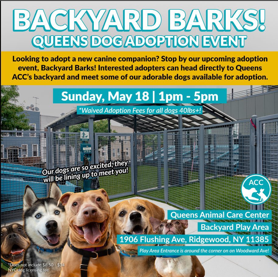 MoishesMom's tweet photo. Need something to do this Sunday?
If you’re in the Queens area of 🆕 York City please stop by an Adoption Event Featuring Native Borough Breeds 🤩♥️
Sunday May one 1️⃣8️⃣ • 1️⃣- 5️⃣ pm
And all Pitunias 4️⃣0️⃣ + pounds • Fee is Waived• That’s a 2️⃣FER—Free & a Borough Breed Pup♥️ https://t.co/o7qfKQEbW6